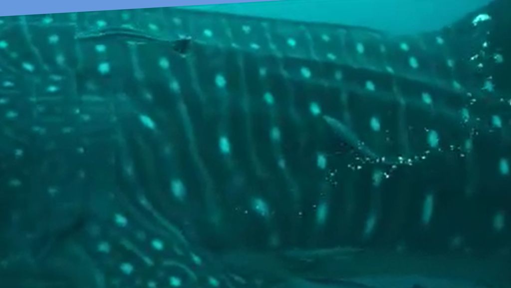 4e4f976f-7c2b-4926-99d7-bf01c5f8cb89