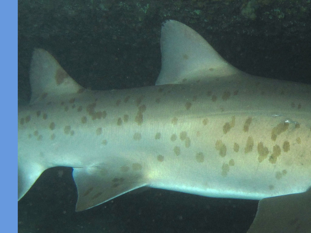 a74cda08-2141-45ef-a0ba-e04780794d7e