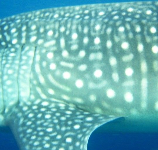 990c742e-c24e-4a9a-a57a-f0996d362cac