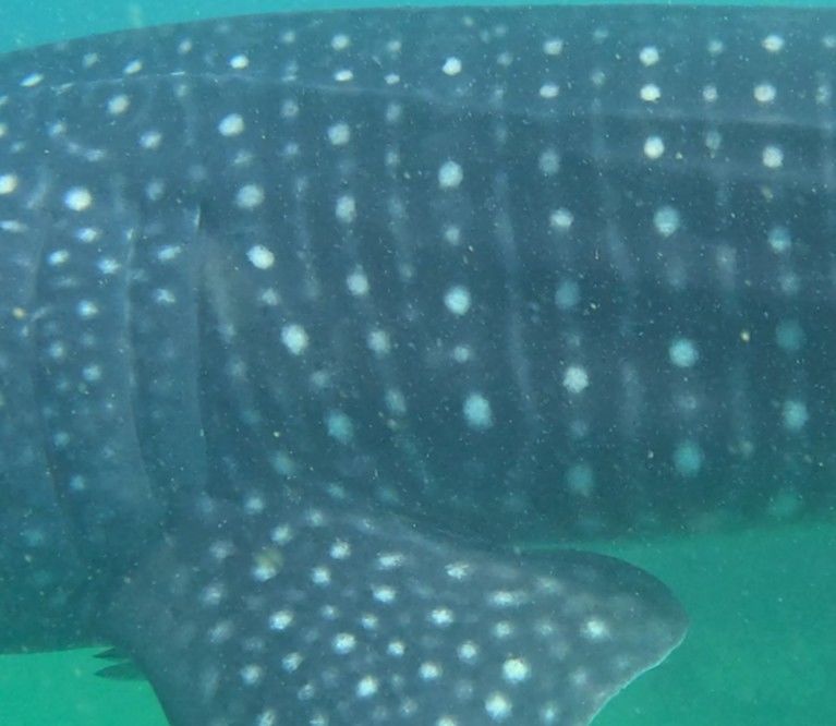 609548aa-ded9-4e81-8628-ef8e3a076fe3