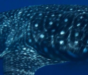 65385e00-79a1-48cd-b1f2-480f76adf37d