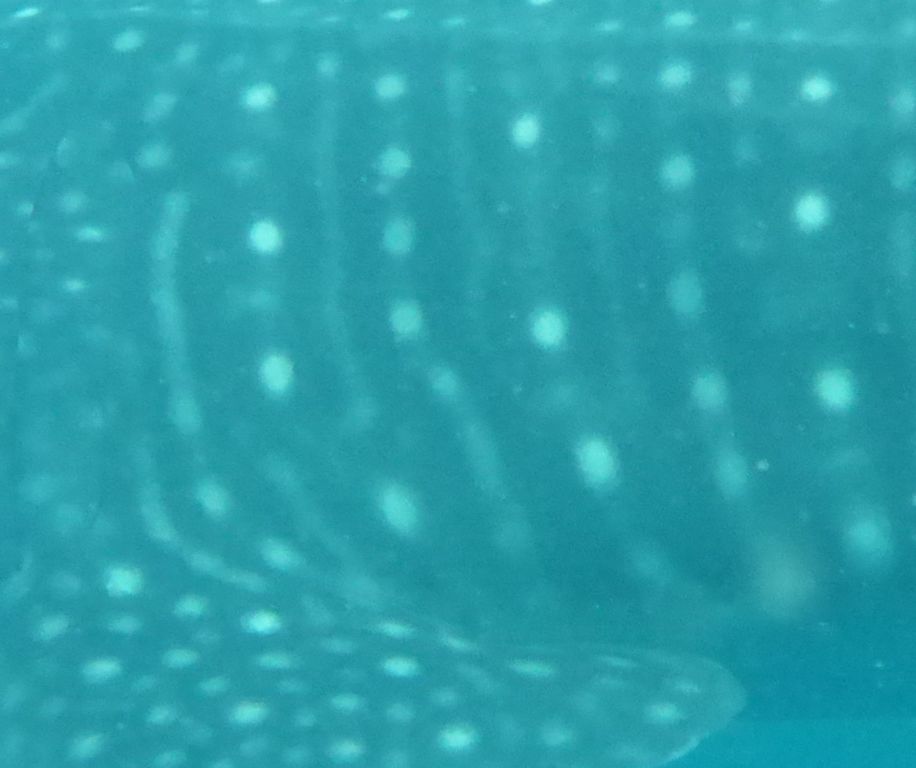 53f21568-3cba-42f3-ab3c-4a77510f9ca8