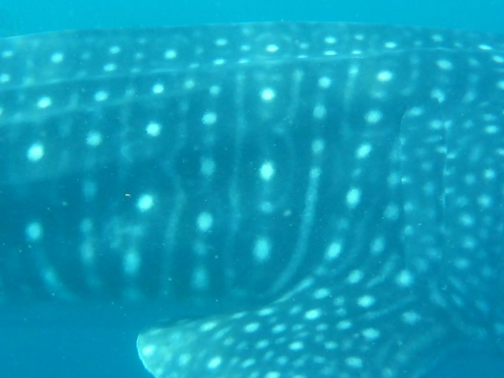 53f21568-3cba-42f3-ab3c-4a77510f9ca8