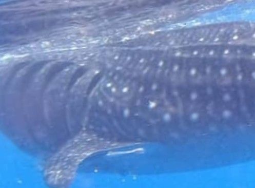 2c9f9d3c-1bde-414f-9b5a-c8badc19ac5d