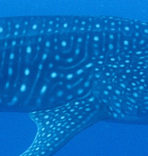 df816411-7b63-46c8-8a83-a3cbd8ee4829