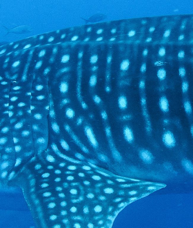 df816411-7b63-46c8-8a83-a3cbd8ee4829