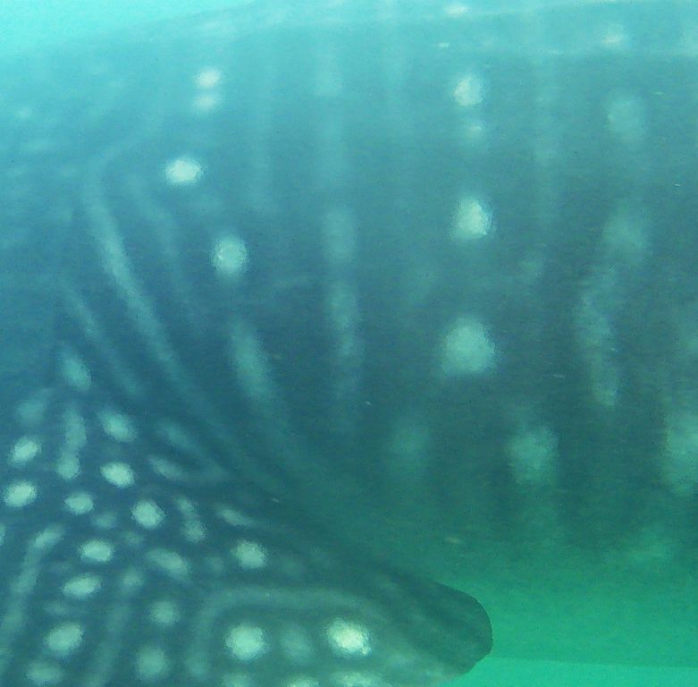 b1a3a805-3c3c-4d83-a683-1764a7f9c060