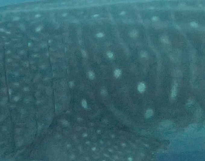 2935f268-a1cd-4409-bb45-4a3a54996f5b