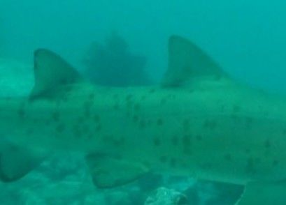 10061f27-8518-4c51-beb2-058a6abc8451