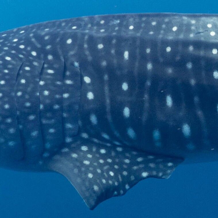 47dfabab-2c8a-41ee-8080-e0ae12c18be8