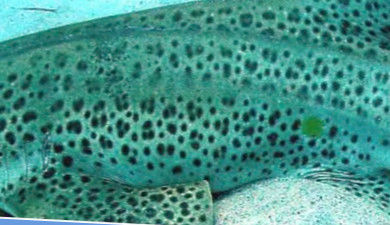 4bf8b1b9-a25d-464c-ac31-92f7dfba9005