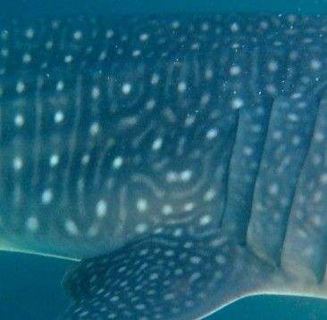 495c501b-389f-4c62-9f2b-023ee8e68a21