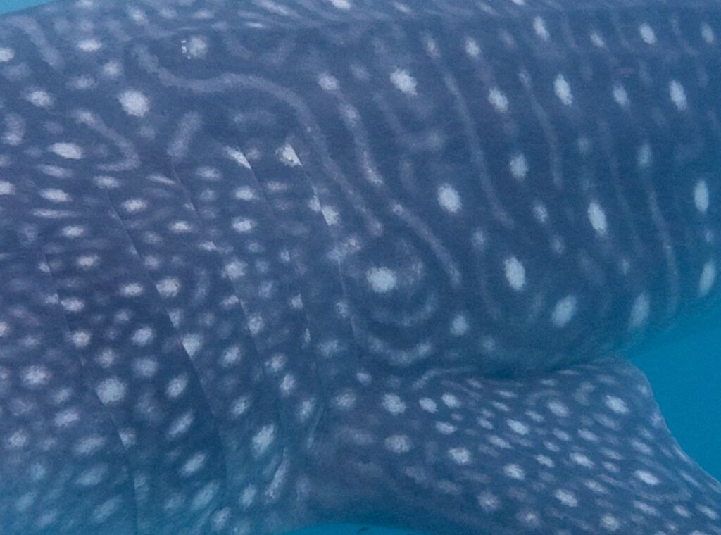 509d7948-8cf3-4a1f-97de-427edec31af1