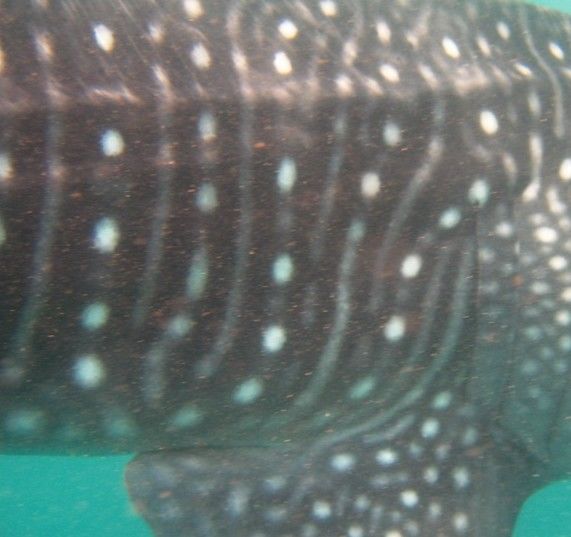 d3985119-36a9-47c7-9d99-8e09bc1d786e