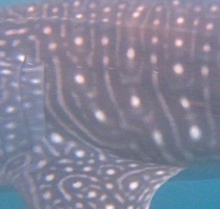 d96f37d3-03e8-4aa5-b38e-201cc46df6b1