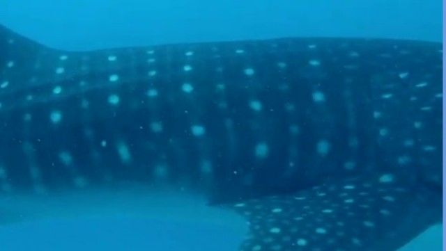 cd418d53-69b6-4d47-9d07-a7701d983a21