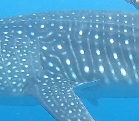 3c93157b-ae99-46f7-b8d5-0f6a55912900