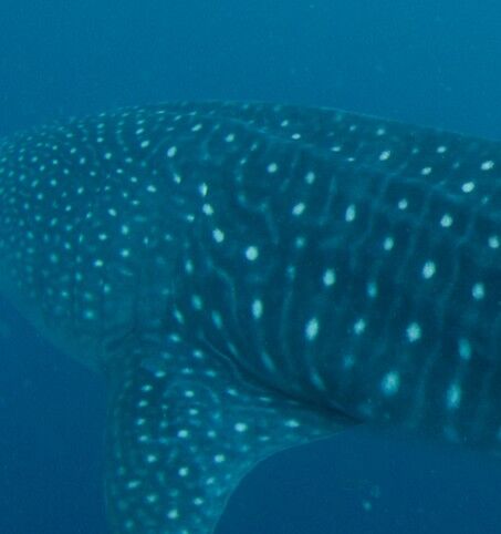 34cd21ff-4018-40d6-9081-6becf75b0f85