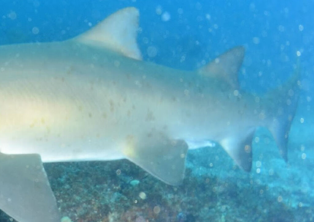 9ec1081a-f6c6-433d-a167-5b954bdef90d