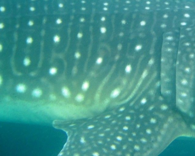 1696b392-0623-4727-a18b-30d450dc15c5