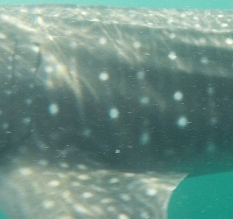 a6613573-ec3d-41bf-8e4f-322ce15cee4e