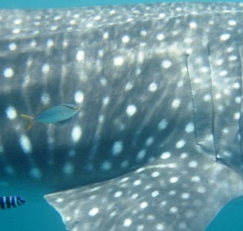 becf541a-1bf2-4a32-8472-e46910c15089