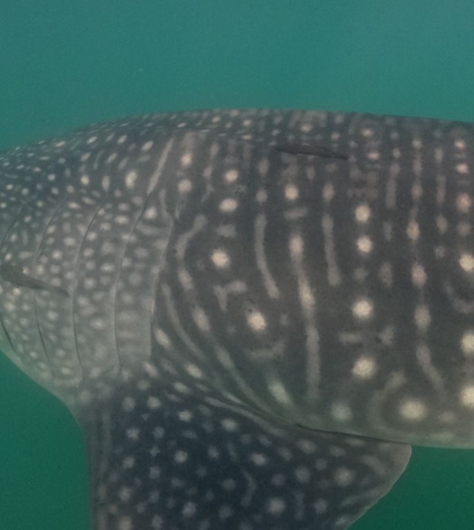 907a3e48-df3b-4c16-b215-cd3824132a70