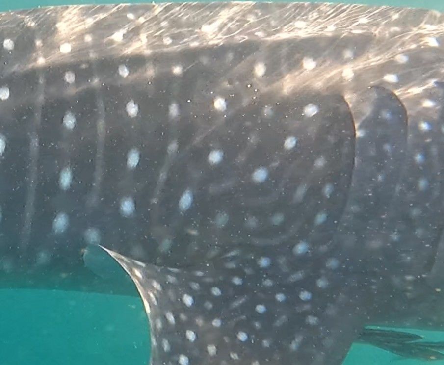 32813f60-7fb4-44f7-969e-23b7d80e072d