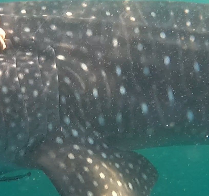 32813f60-7fb4-44f7-969e-23b7d80e072d