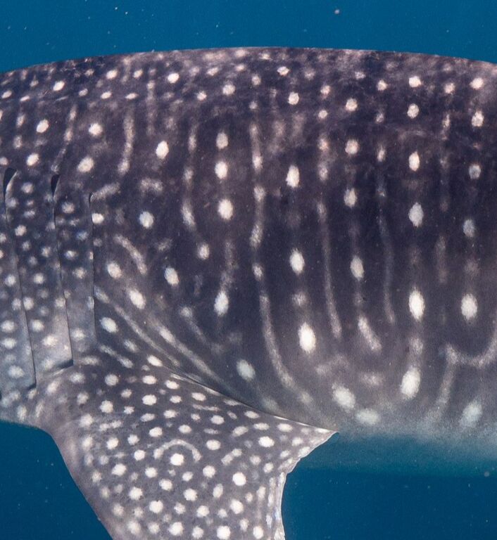 c40d9c61-b13e-4163-bdbc-7aa004438b66