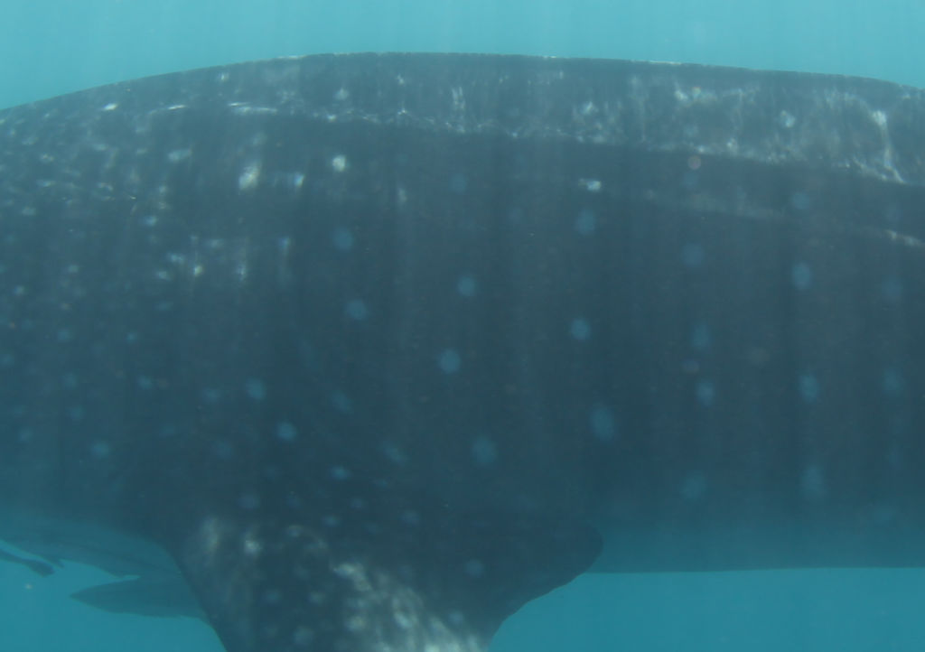 37d9ddf7-461c-45cc-aa5d-c6dd5a7013f6