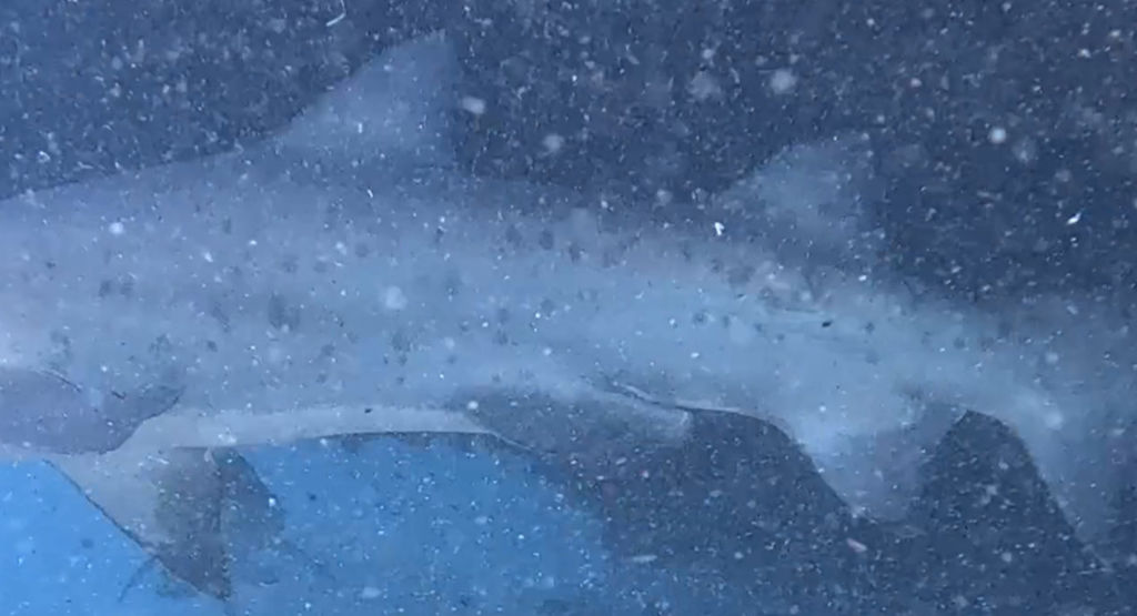 2013a88f-3541-42c9-b514-abaebba5186b