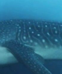 d0e48a79-9a6b-4be8-830f-2c4eb4241238