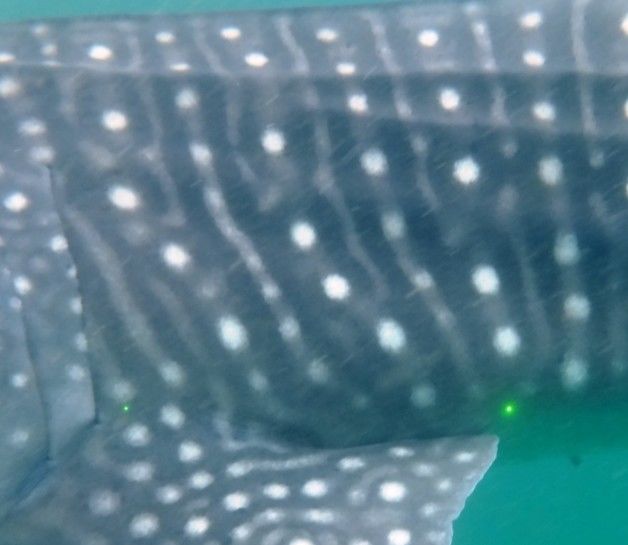 59b22537-2ce1-416f-966d-0ee453c7d9d0