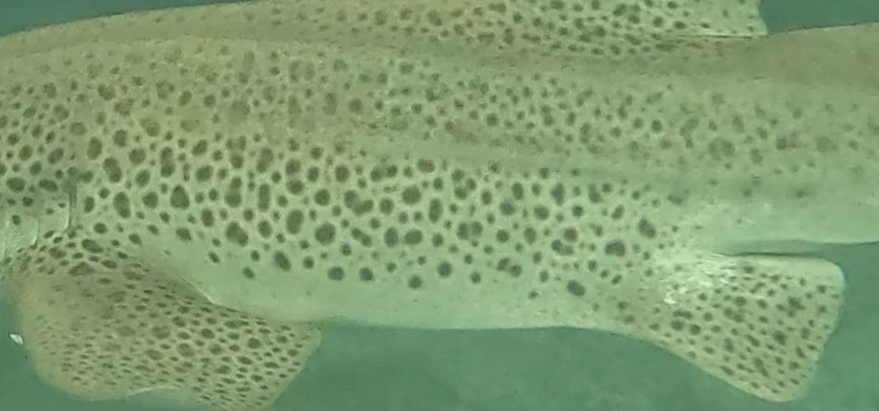 f88fc445-9677-4d7f-93a2-b9f3abc335ba