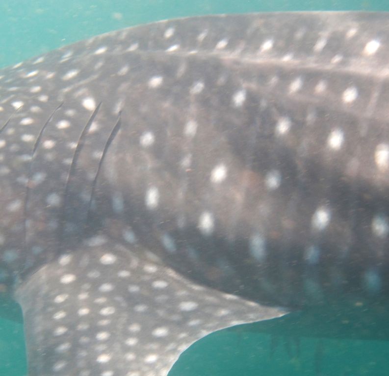 959fa103-01dd-4fa5-9771-61e82228bc71