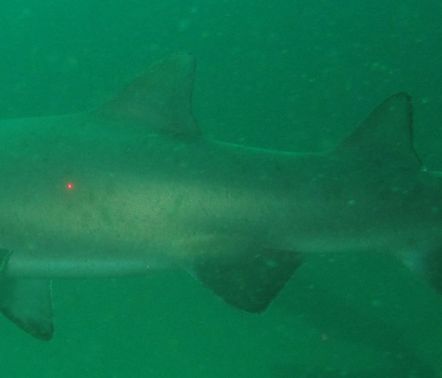 c10b9abe-a11f-4546-bf02-68171e5c7118