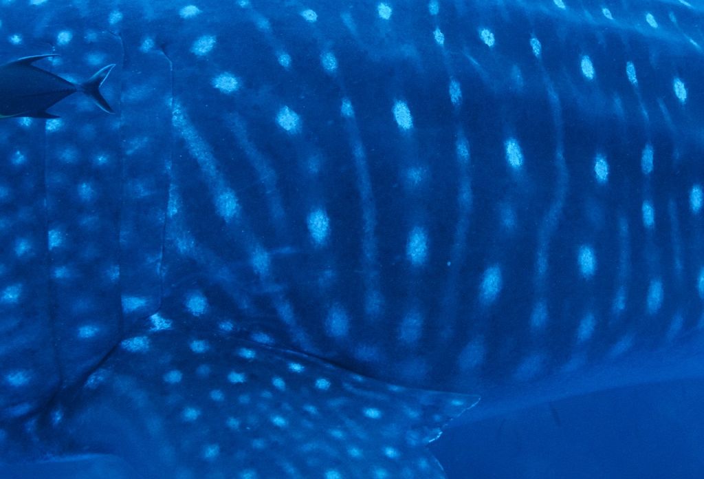 48ee105e-ccc3-458c-acc3-6307fca44833