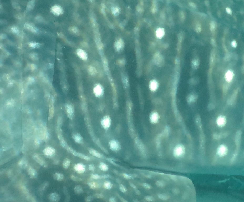 1098ed06-951b-4bee-a5b2-f2c9c36e12f8