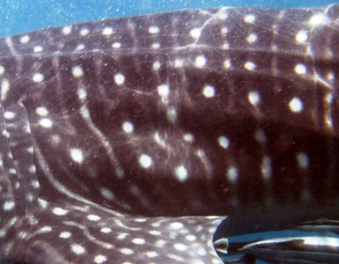 cabcb084-ef41-4223-9ada-64cbc901520a