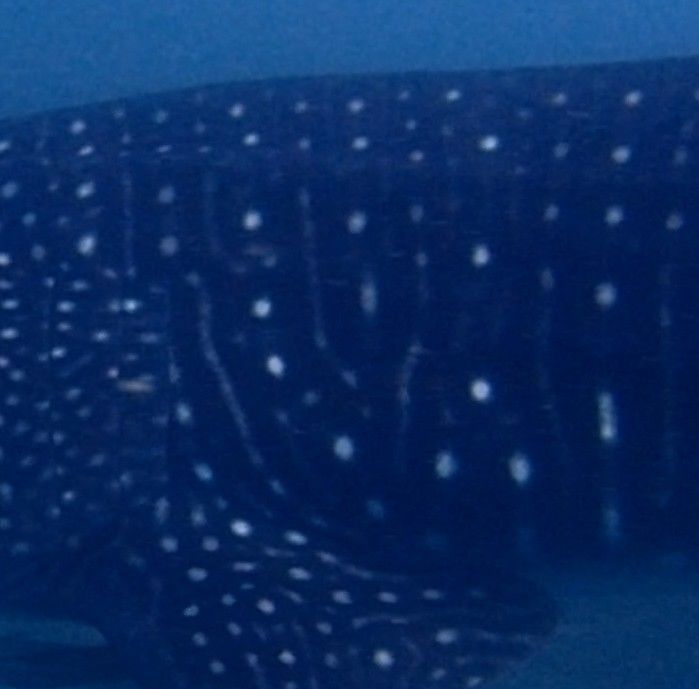 6c173cd2-82c2-4166-86a0-9cbedc2a9b48