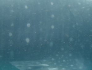 e2e3eb33-afc3-4037-ba4b-f8d2569d5298