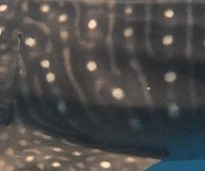 de26cebf-b817-40b1-8d86-bf4f3b95656e