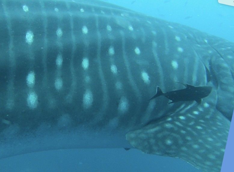 7720ca02-f5ea-42f7-9ab0-b4b9c13f4916