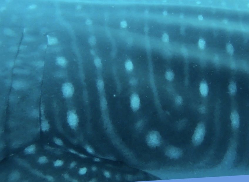 7720ca02-f5ea-42f7-9ab0-b4b9c13f4916