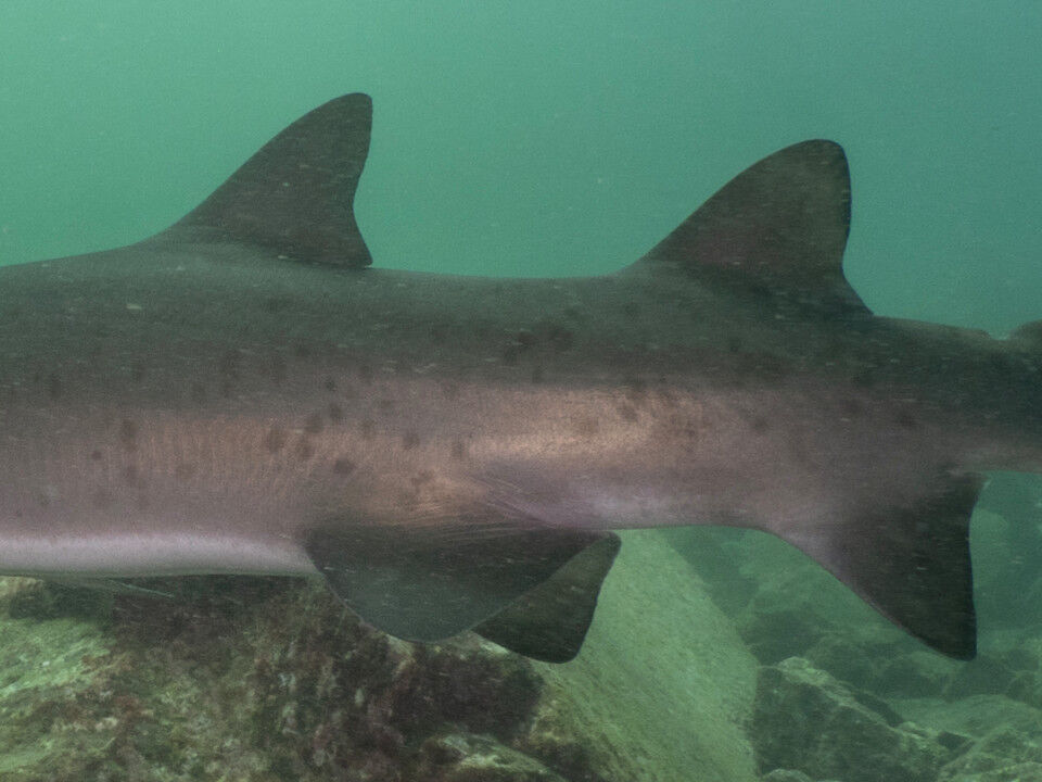 466d20d8-5dbf-4f3b-ad46-114d9b233e5f