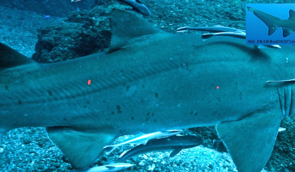 277e8569-c4fc-44e3-b0cd-1d1405156127