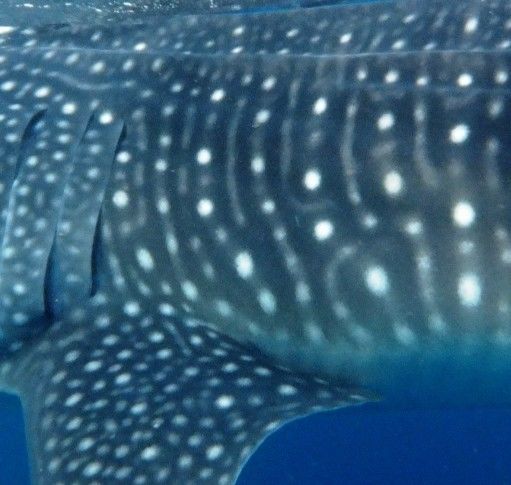 f18e06e8-9a3a-47f8-9a08-fd5006d754ac