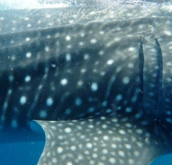 f18e06e8-9a3a-47f8-9a08-fd5006d754ac