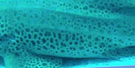 44a2f186-e822-41a3-9c8a-9b6dd4830161